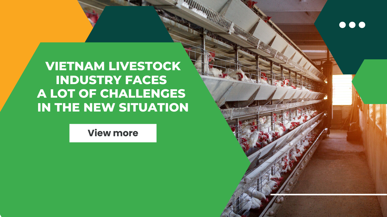 VIETNAM LIVESTOCK INDUSTRY FACES A LOT OF CHALLENGES IN THE NEW SITUATION