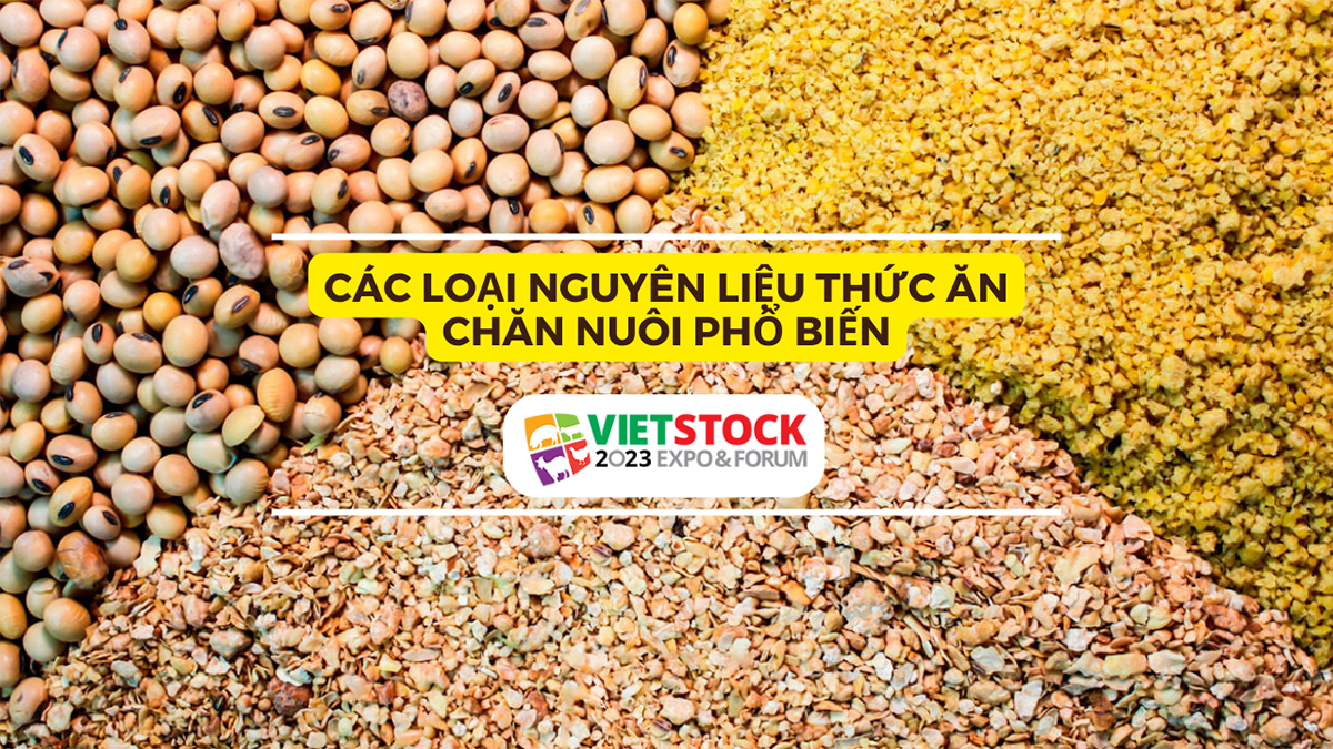 cac loai nguyen lieu thuc an chan nuoi 1