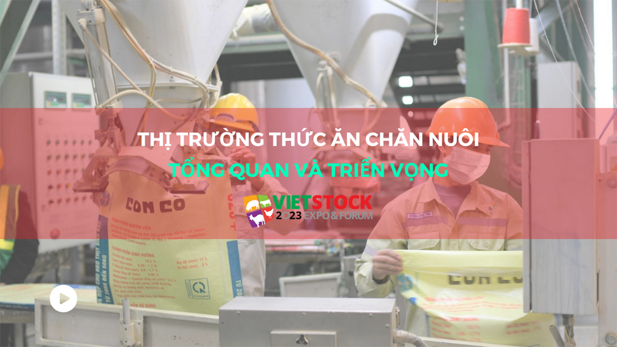 thi truong nganh chan nuoi 1