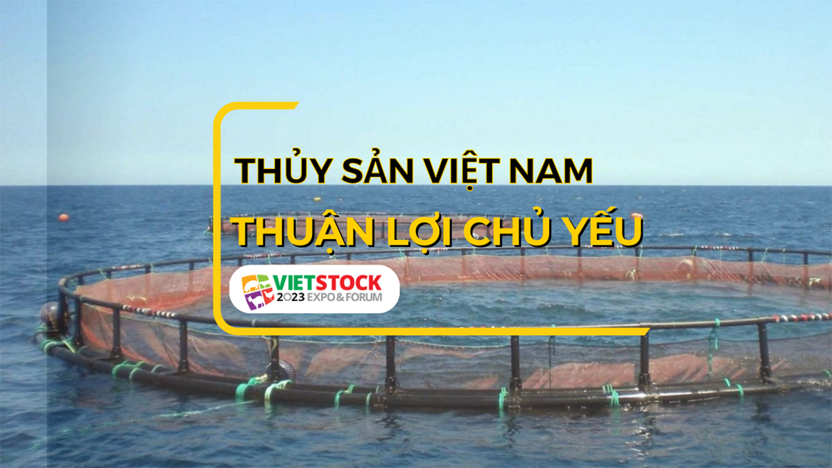 thuan loi chu yeu nganh nuoi trong thuy san 1