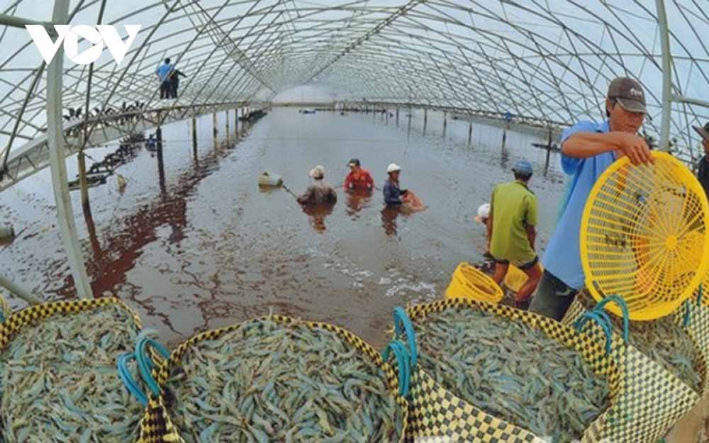Những thuận lợi chủ yếu ở ngành nuôi trồng thủy sản Việt Nam
