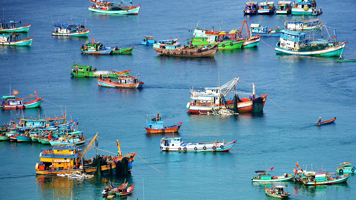 Việt Nam có bờ biển dài thích hợp phát triển nuôi trồng, đánh bắt thủy sản biển