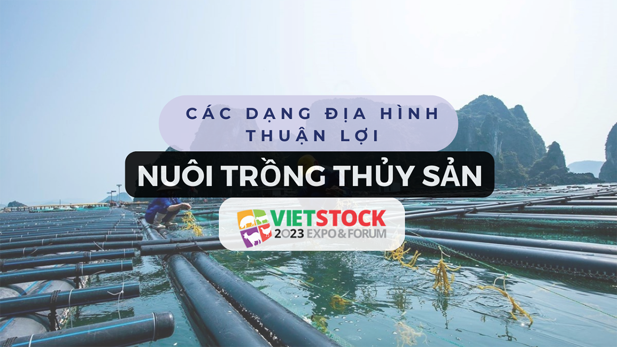 cac dang dia hinh thuan loi nuoi trong thuy san 1