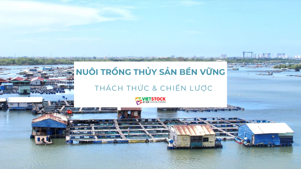 nuoi trong thuy san ben vung 1