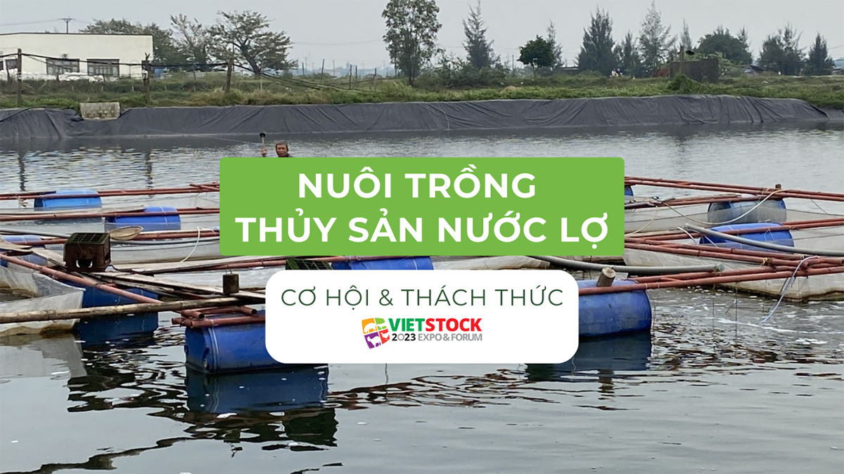 nuoi trong thuy san nuoc lo 1