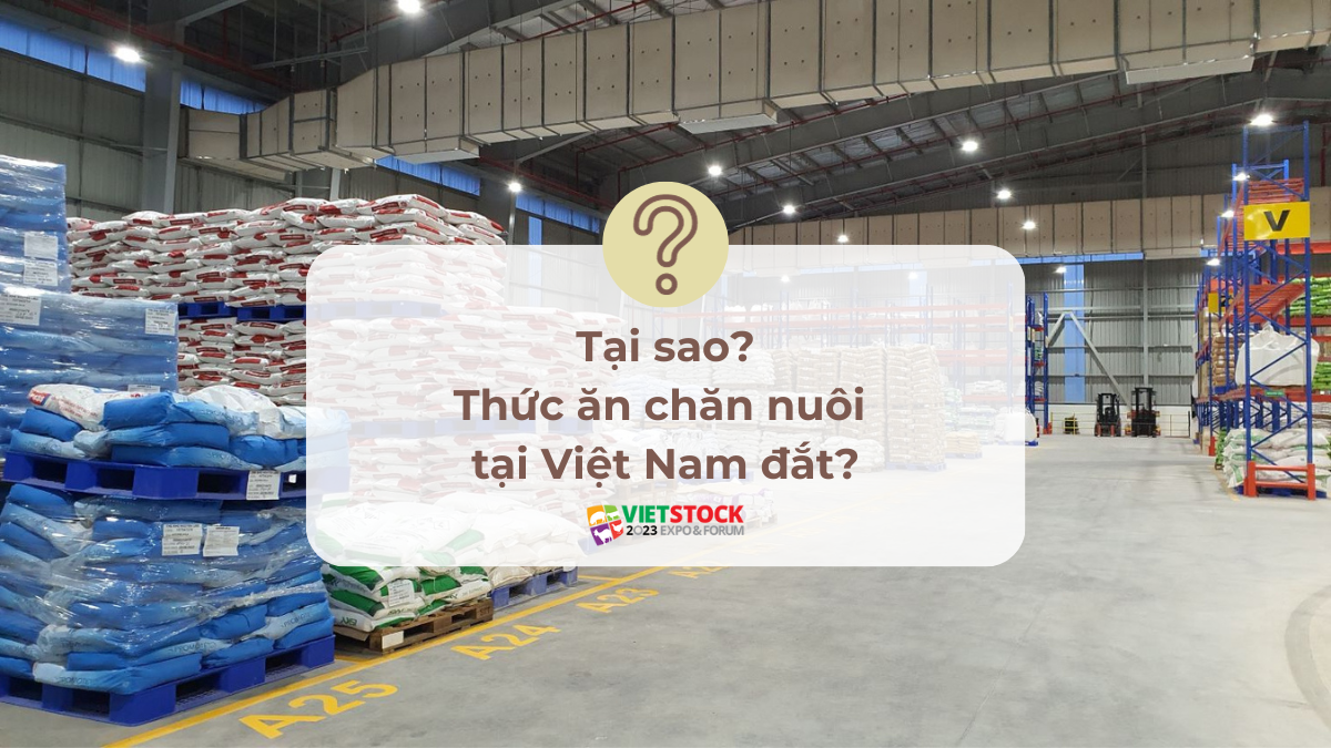 tai sao thuc an chan nuoi viet nam dat 1