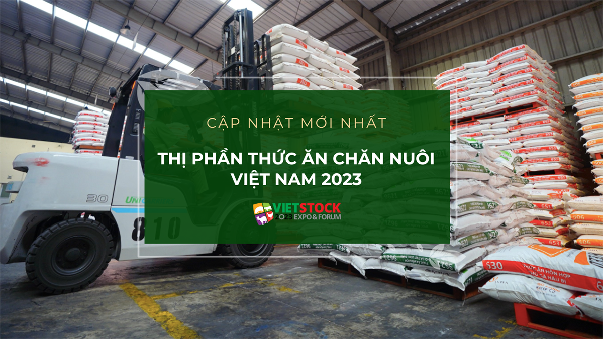 thi phan thuc an chan nuoi tai viet nam 1