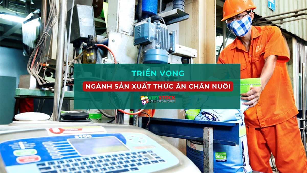 trien vong nganh san xuat thuc an chan nuoi 1