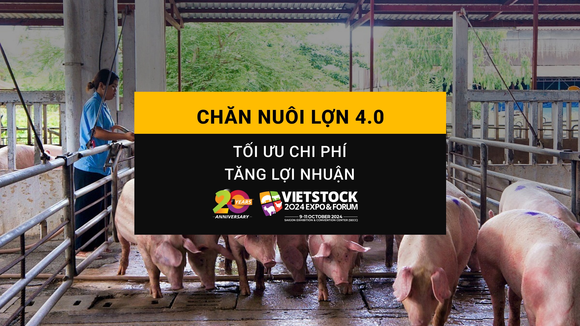 Chăn nuôi lợn 4.0: Tối ưu chi phí, tăng lợi nhuận