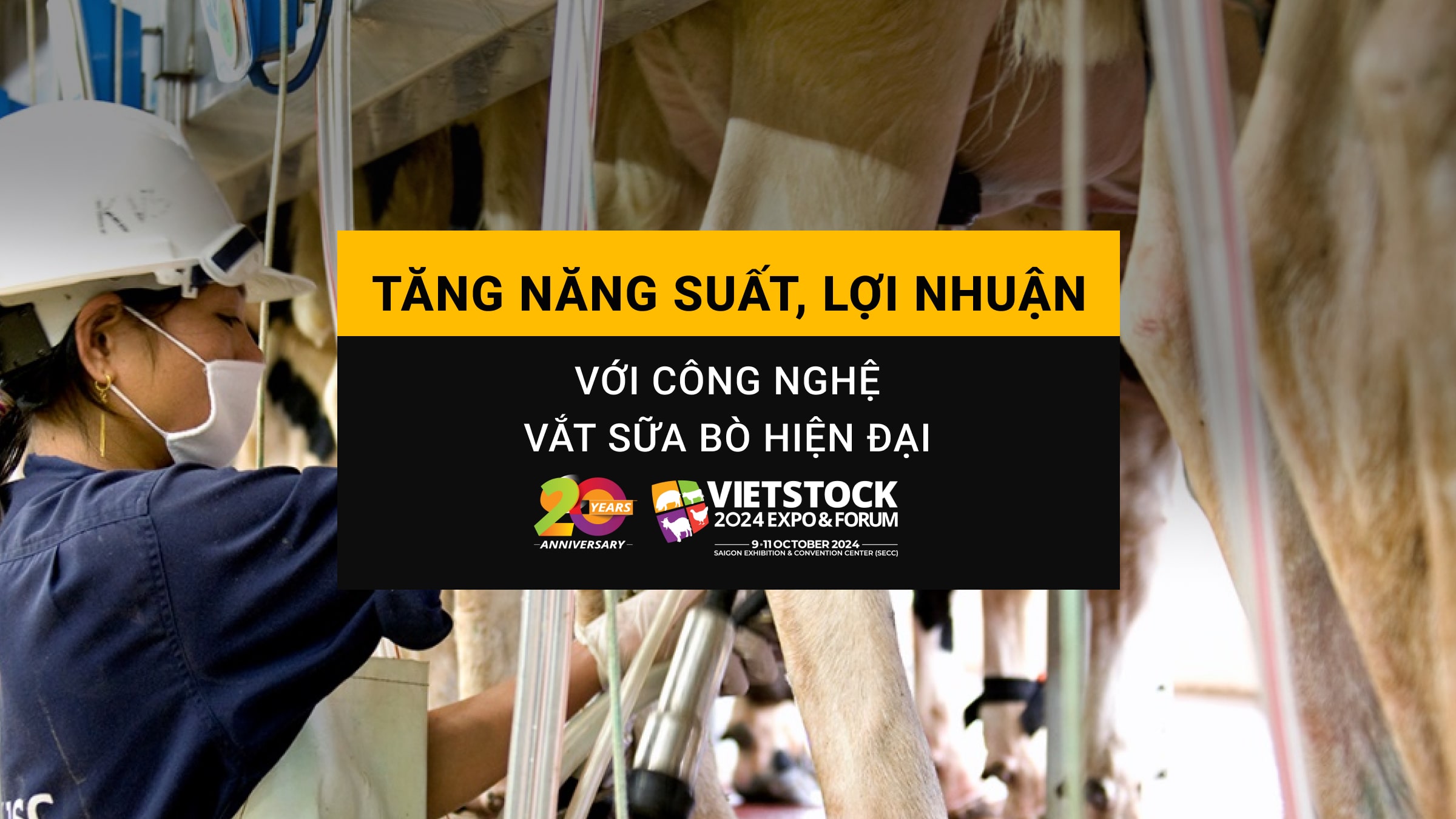 Tăng năng suất và lợi nhuận với công nghệ vắt sữa bò hiện đại