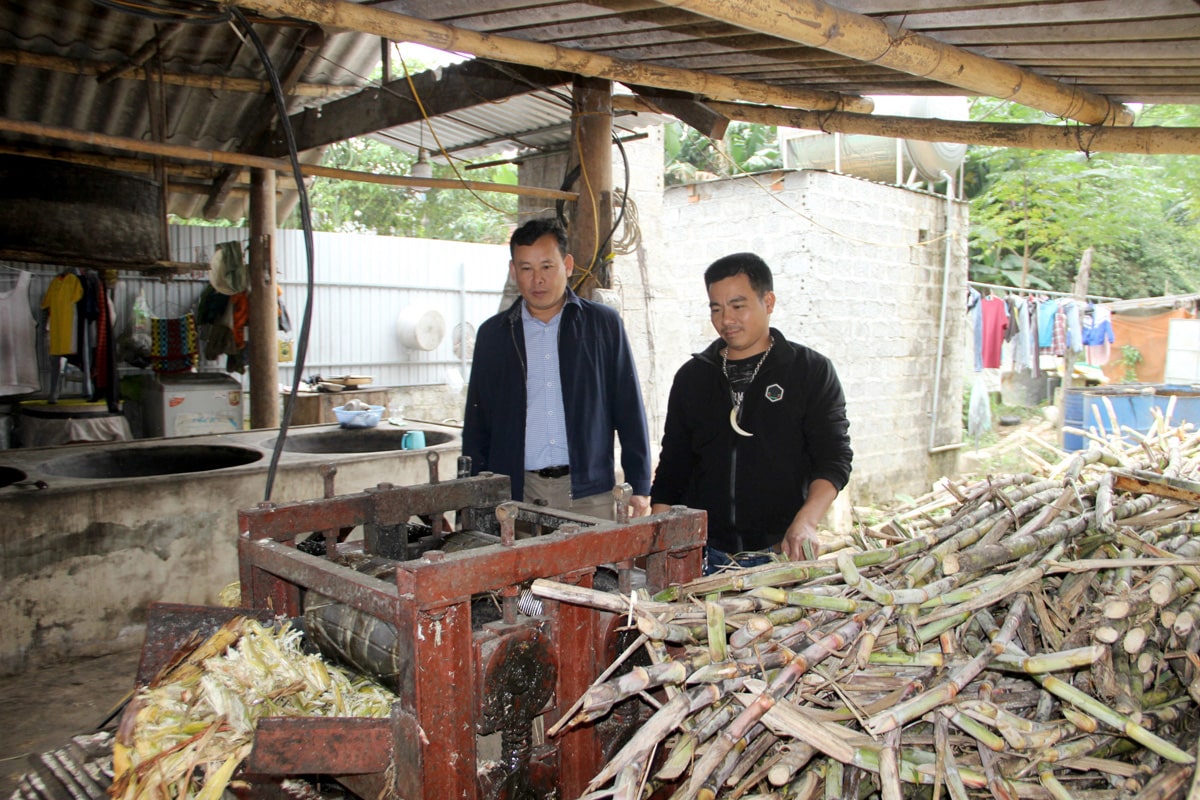 Phụ phẩm nông nghiệp từ bã mía, nguồn nguyên liệu dồi dào và phổ biến ở Việt Nam