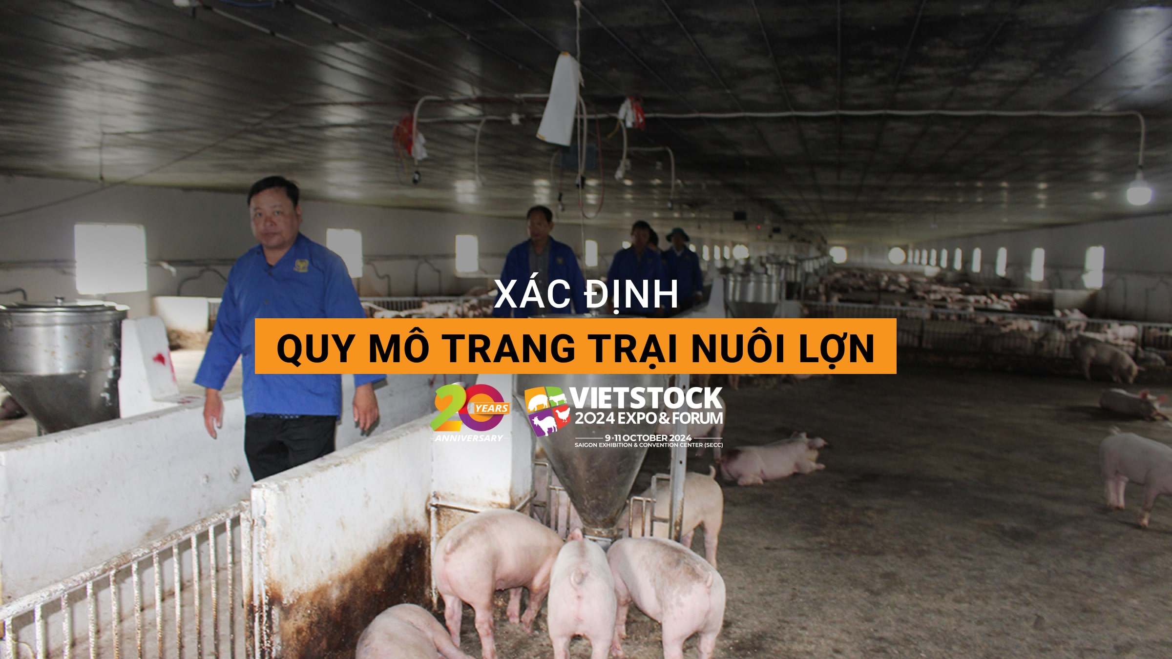 Xác định quy mô trang trại chăn nuôi lợn