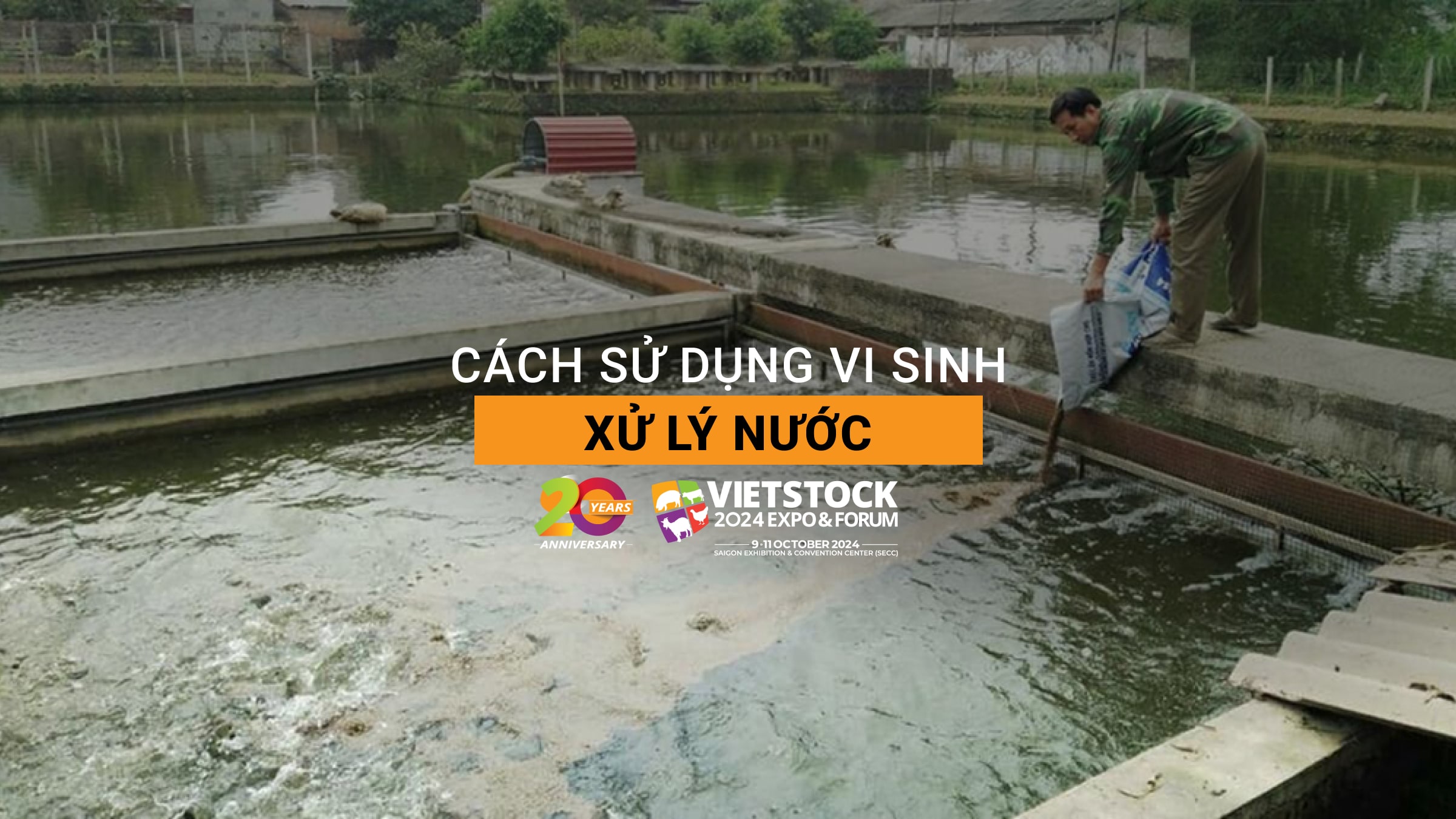 Cách sử dụng vi sinh xử lý nước nuôi trồng thủy sản