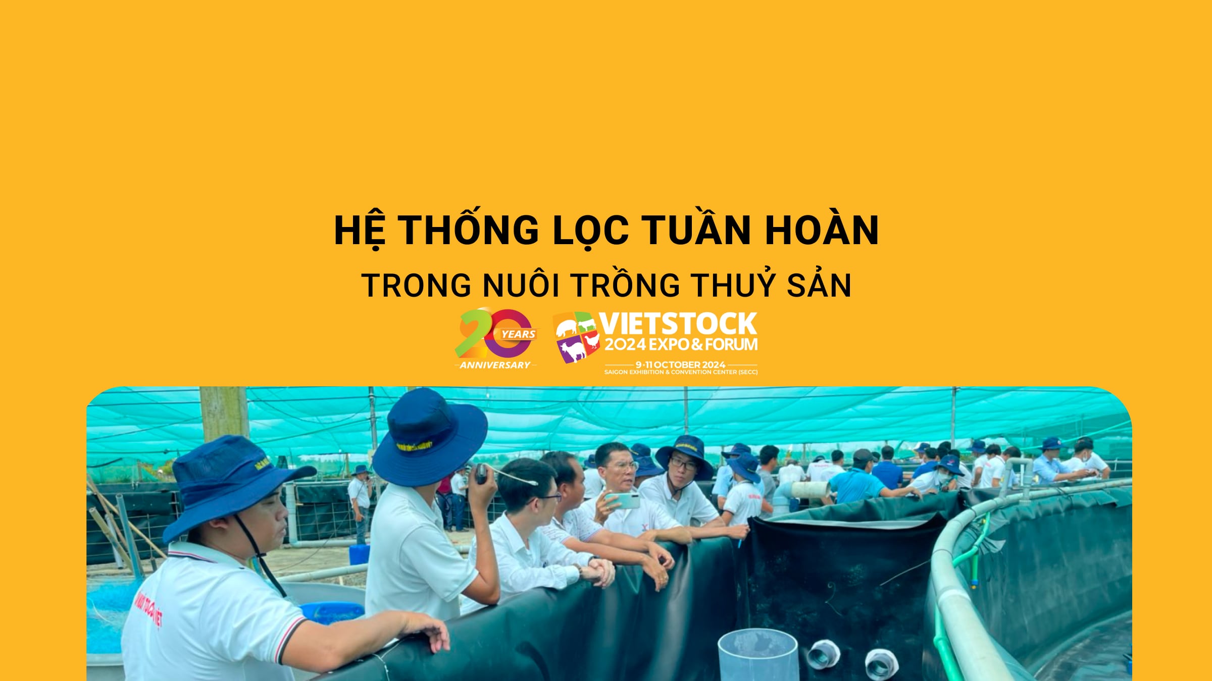 Hệ thống lọc tuần hoàn trong nuôi trồng thủy sản