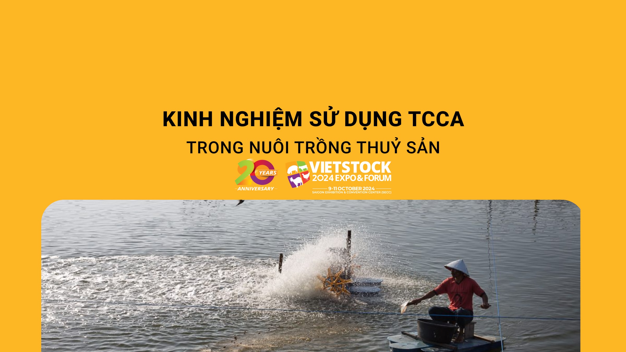 Kinh nghiệm sử dụng TCCA trong nuôi trồng thủy sản