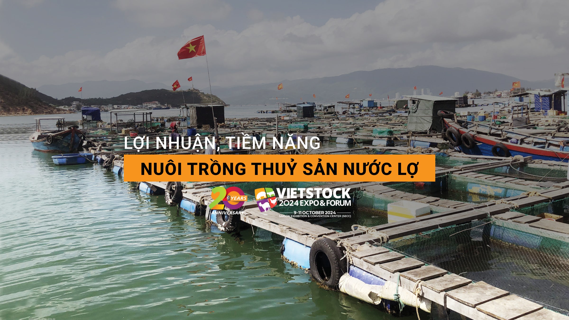 Nuôi trồng thủy sản nước lợ: Lợi nhuận cao, tiềm năng lớn