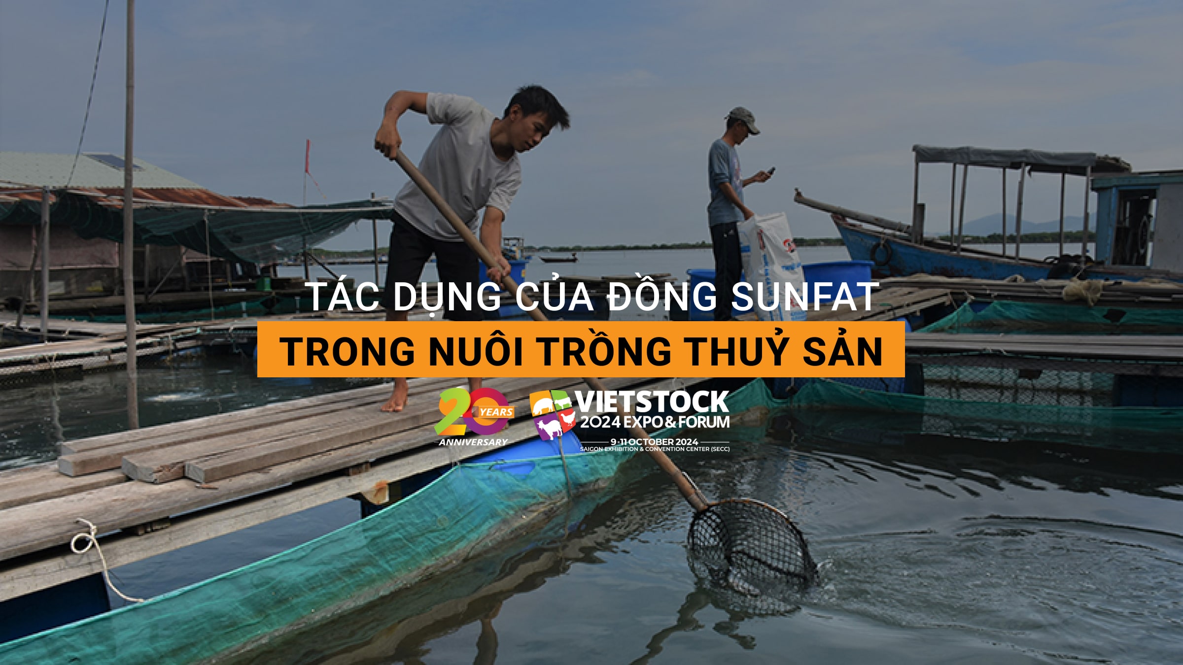 Tác dụng của đồng sunfat trong nuôi trồng thủy sản