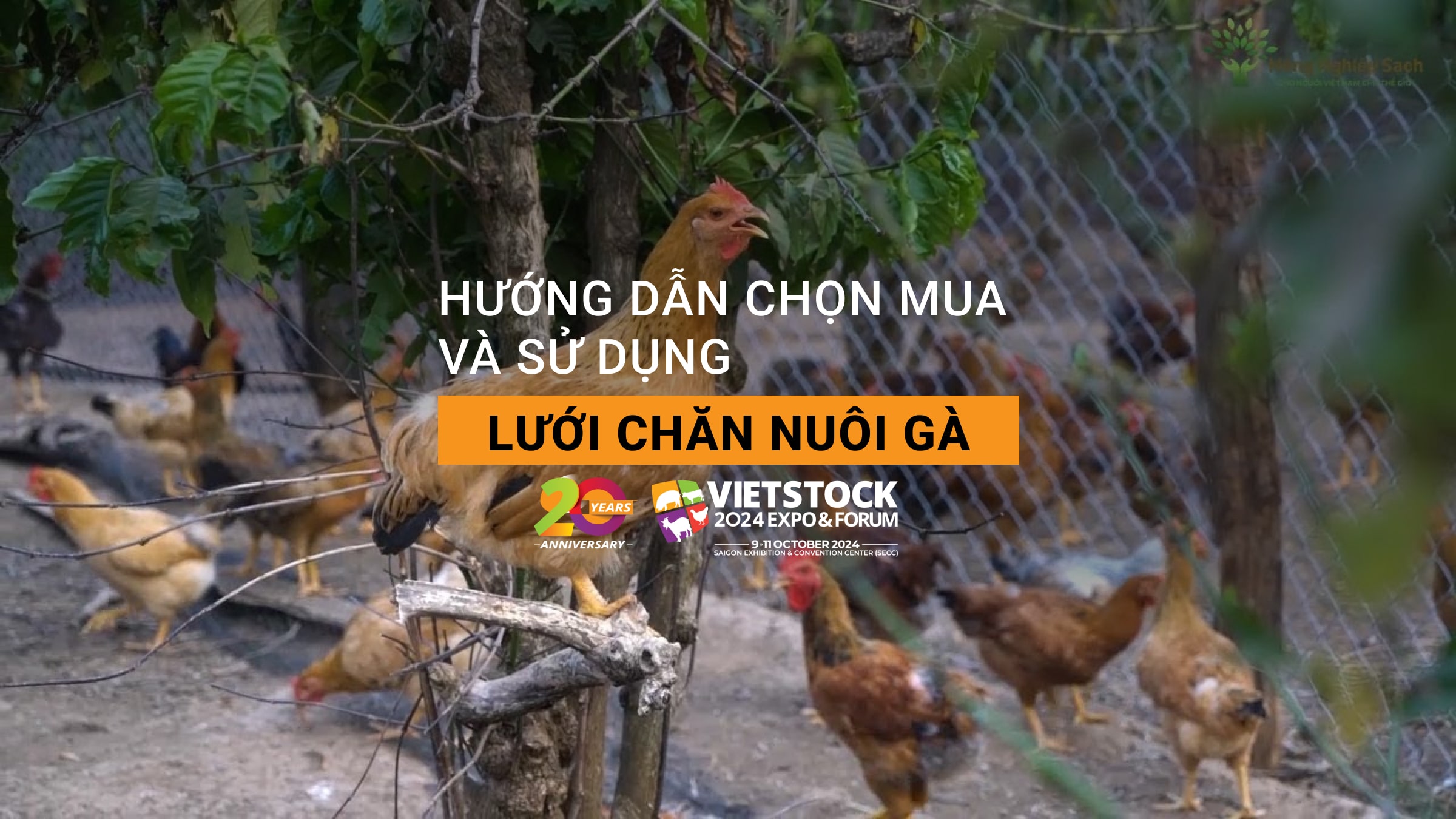 Hướng dẫn chọn mua và sử dụng lưới chăn nuôi gà hiệu quả