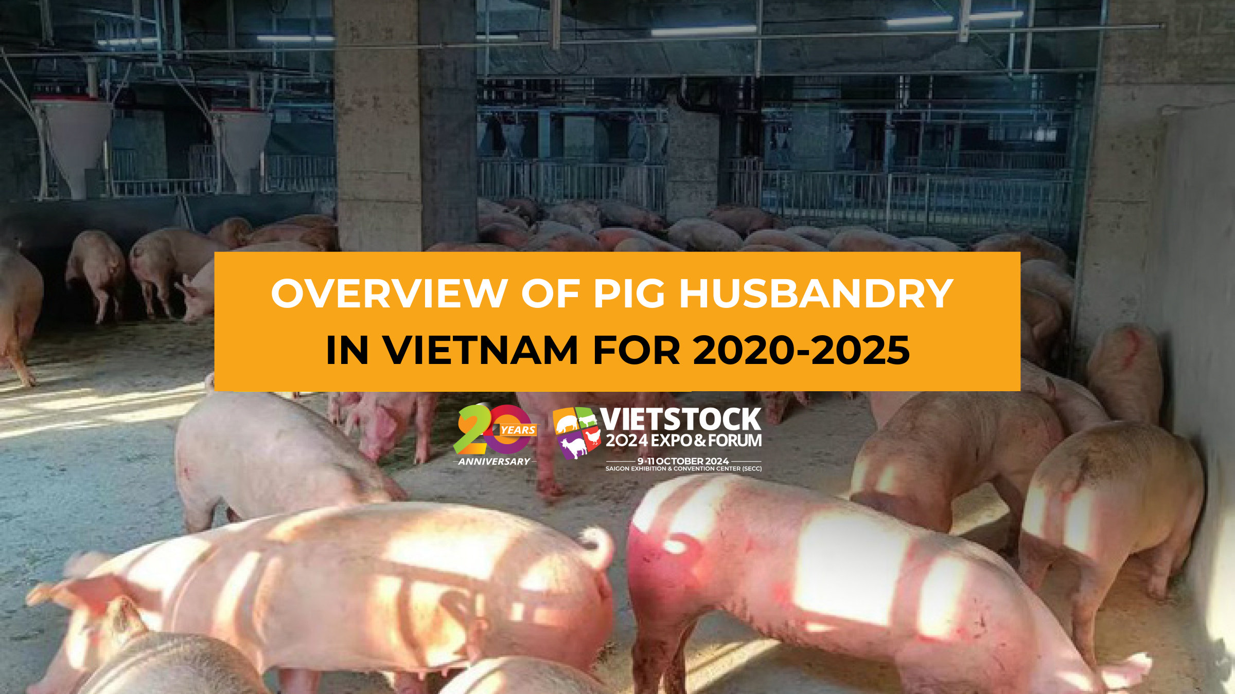 OVERVIEW OF PIG HUSBANDRY IN VIETNAM FOR 2020-2025