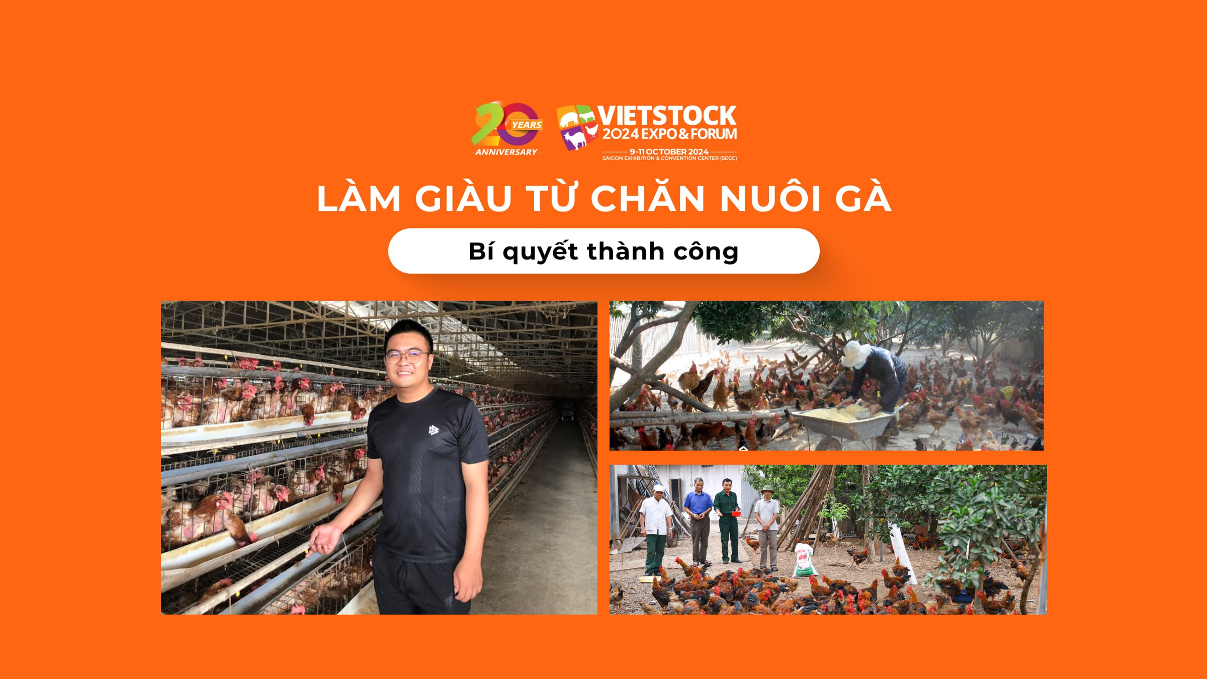 Làm giàu từ chăn nuôi gà: Bí quyết giúp người nông dân thành công