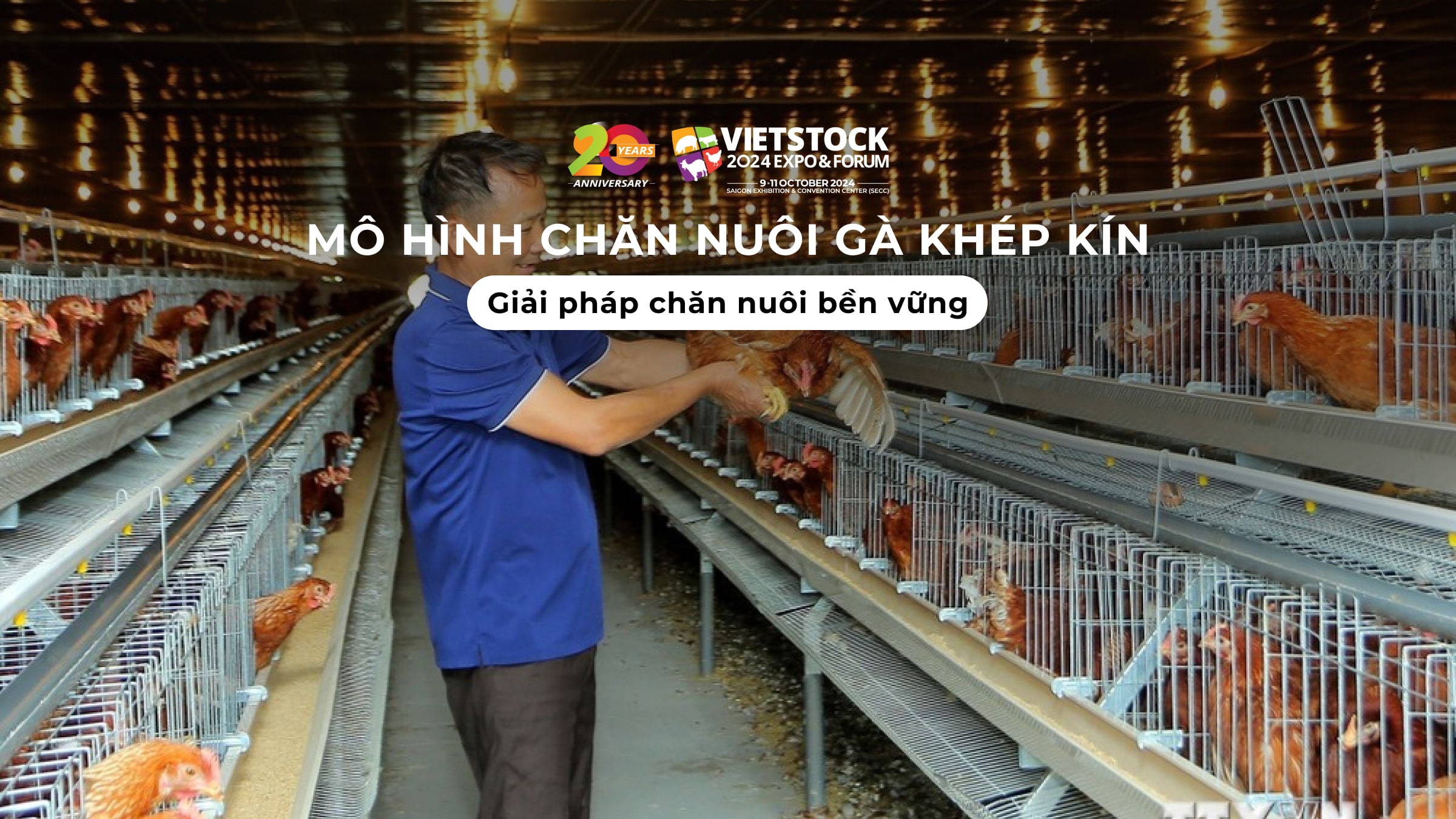 Mô hình chăn nuôi gà khép kín: Giải pháp cho ngành chăn nuôi bền vững