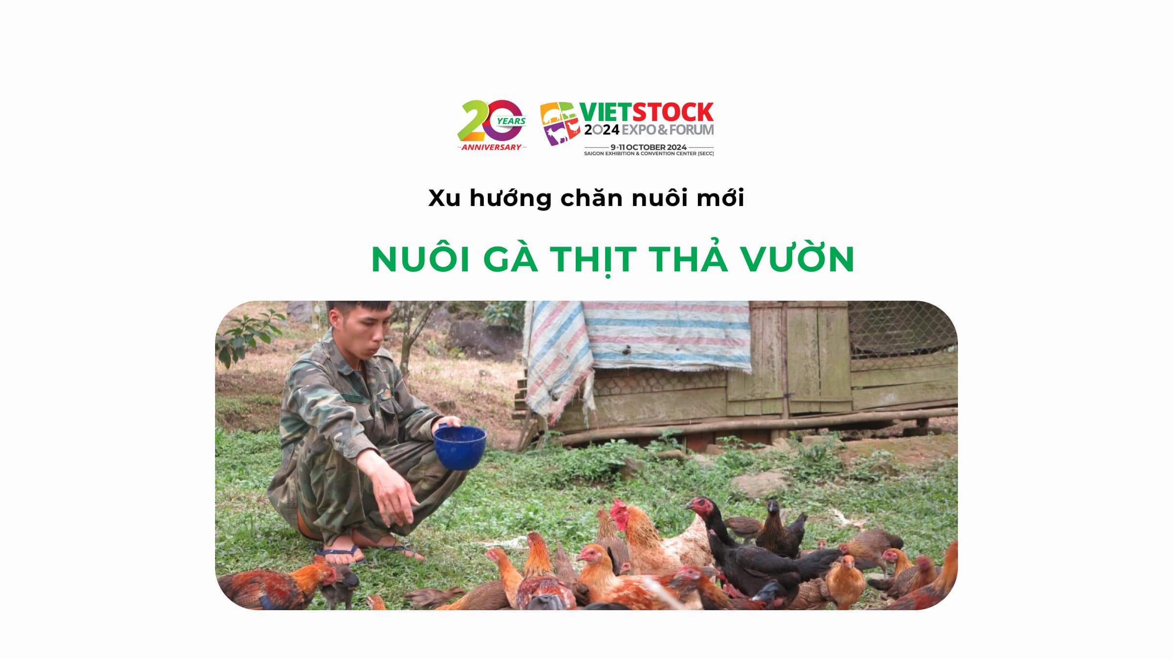 Nuôi gà thịt thả vườn - Xu hướng chăn nuôi mới