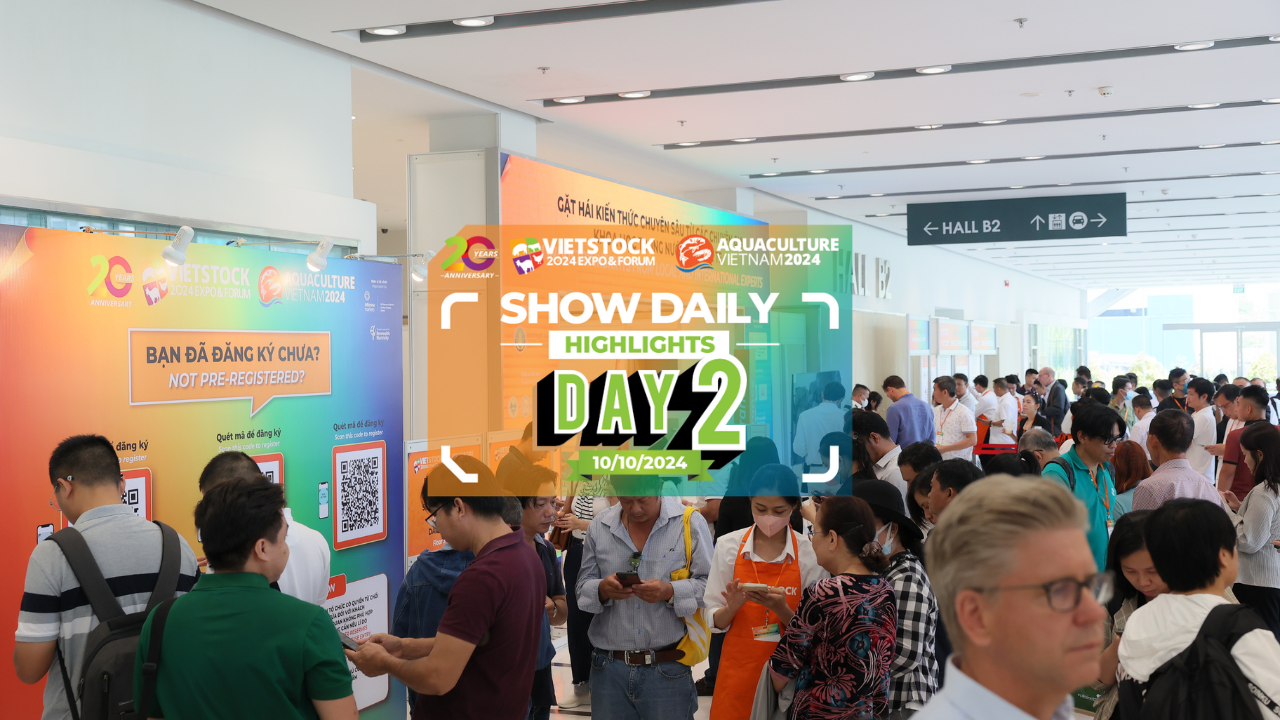 CONNECT, COLLABORATE AND CONQUER ON DAY TWO AT VIETSTOCK 2024