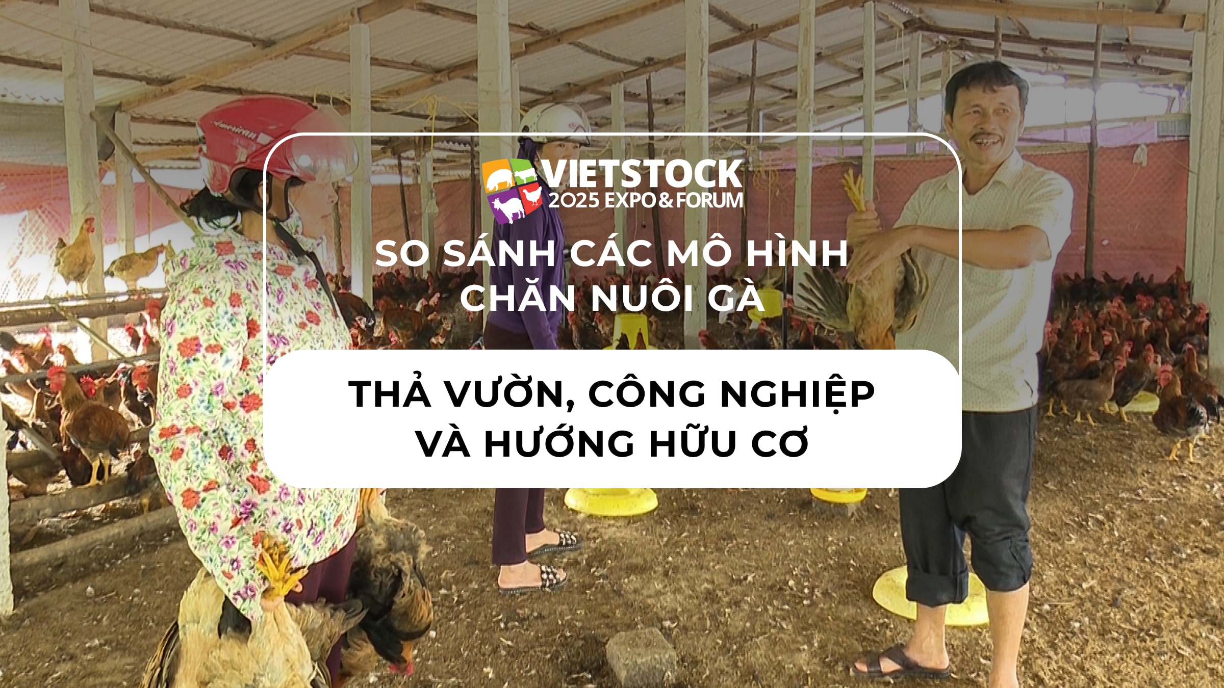 so-sanh-cac-mo-hinh-chan-nuoi-ga-tha-vuon-cong-nghiep-va-huong-huu-co