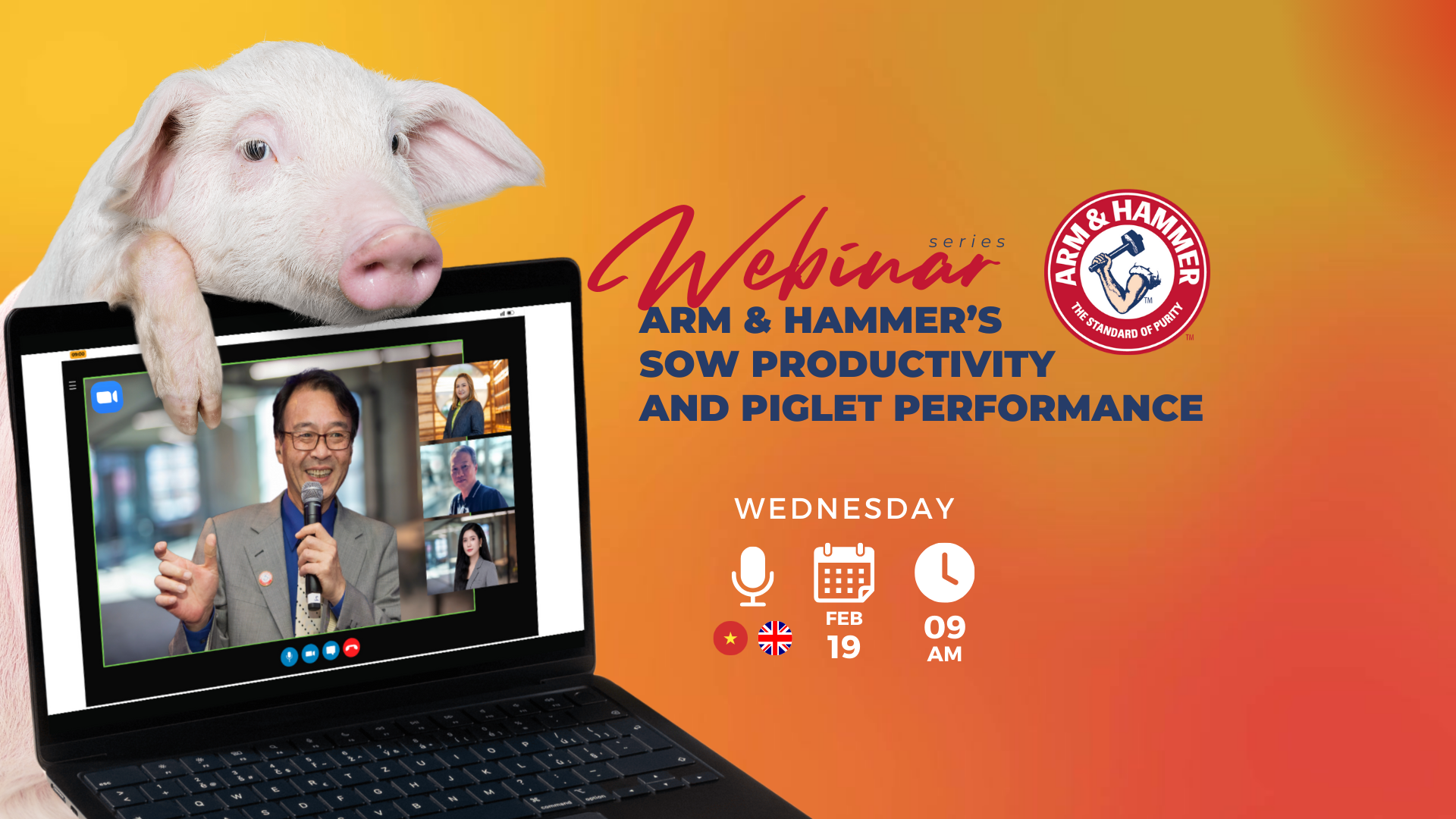 WEBINAR: SOW PRODUCTIVITY AND PIGLET PERFORMANCE